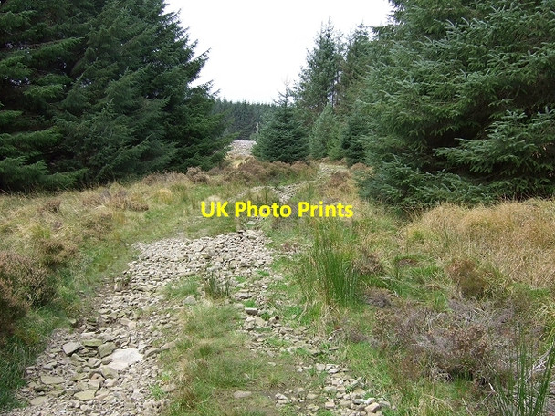 Photo 6"x4" Footpath at Cwm Lluest Blaenrhondda c2008
