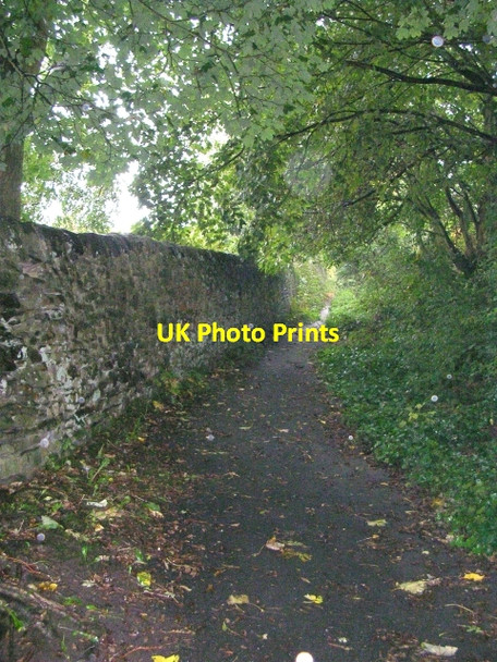 Photo 6"x4" Footpath - Spring Gardens Lane Keighley c2008 P1