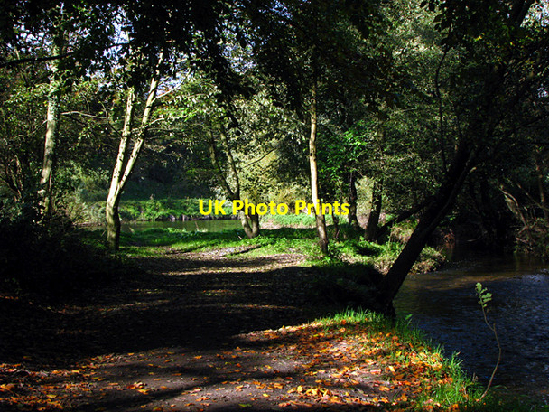 Photo 6"x4" The Minnowburn and the Lagan near Belfast Drumbeg\/J3066 c2008