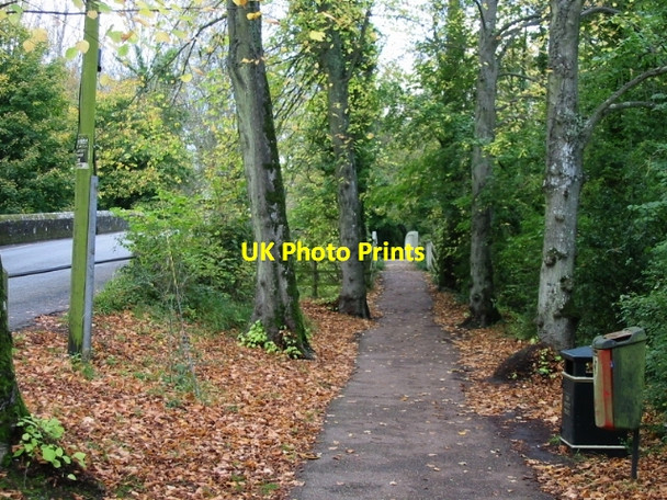 Photo 6"x4" Path to the Swanbourne footbridge Arundel c2008
