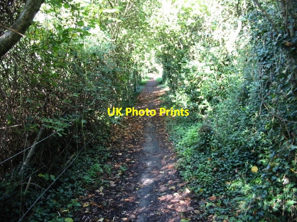 Photo 6"x4" Looking NW along a footpath to Fishbourne Chichester c2008