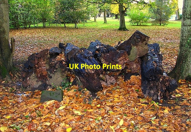 Photo 6"x4" Rotting timber, Castle Park Bangor\/J5081 c2008