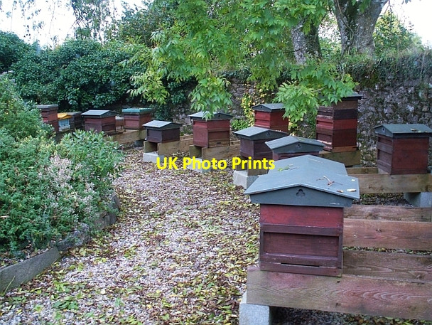 Photo 6"x4" The Bee Garden Llanddarog c2008