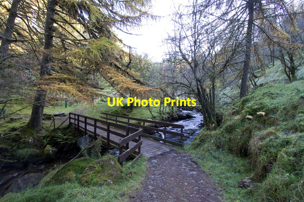 Photo 6"x4" Footbridge over one of the streams Lochgoilhead c2008