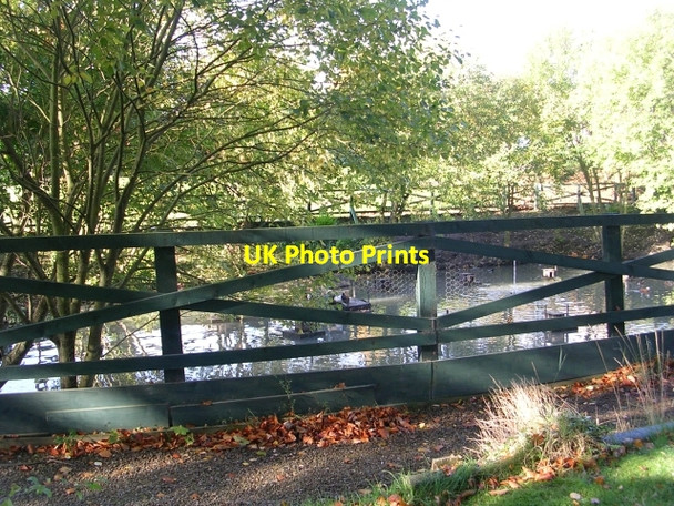 Photo 6"x4" Duck Pond - Gomersal Park Hotel - Mill Lane, Birkenshaw Birkenshaw Bottoms c2008