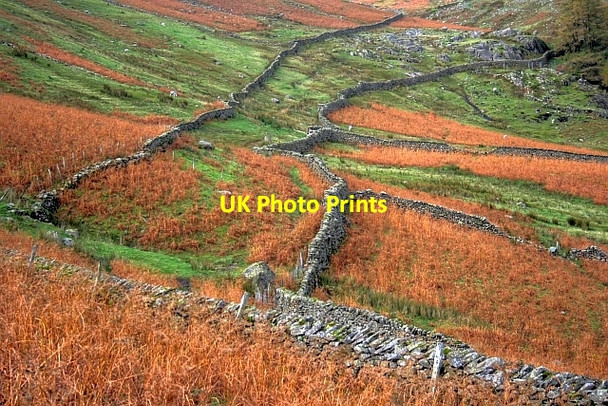 Photo 6"x4" Lakeland Walls Town Head\/NY3309 c2008