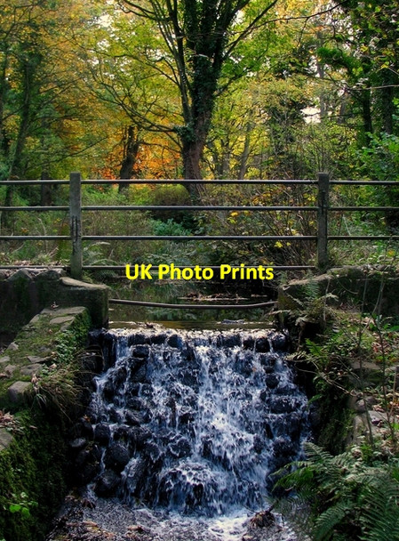 Photo 6"x4" Small waterfall, Stricklands Glen Bangor\/J5081 c2008