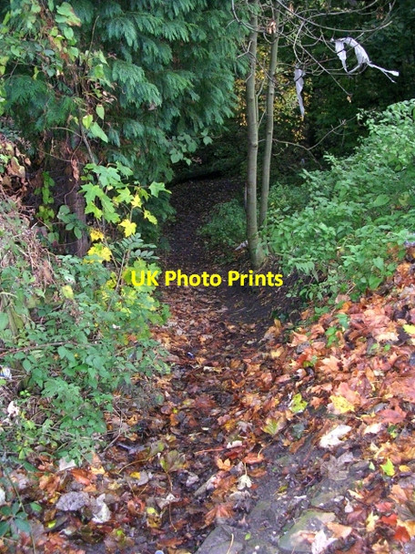 Photo 6"x4" Footpath - Carr Bottom Road Apperley Bridge c2008