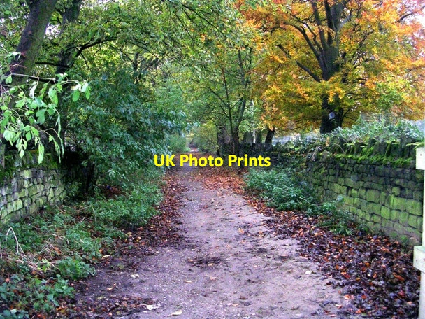 Photo 6"x4" Footpath - Carr Road Apperley Bridge c2008