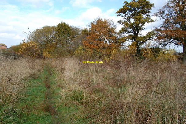 Photo 6"x4" Footpath, Alderholt, Dorset Alderholt c2008