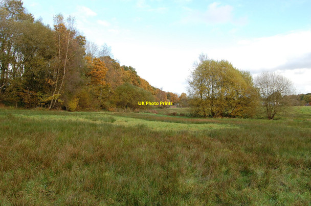 Photo 6"x4" Pasture, Alderholt, Dorset Alderholt c2008