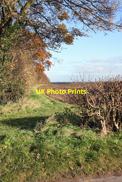 Photo 6"x4" Footpath beside Beswick Heads Plantation Beswick\/TA0148 c2008
