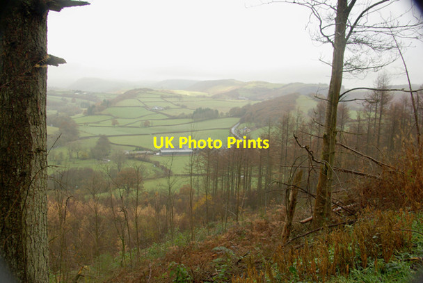 Photo 6"x4" A Gap in the Trees Garth\/SN9549 c2008