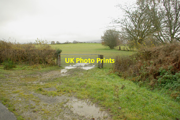Photo 6"x4" Muddy gateway Pentre-llwyn-llwyd c2008