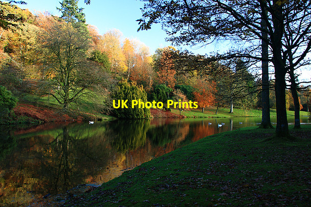 Photo 6"x4" Autumn Colours - Stourhead Stourton\/ST7734 c2008