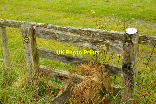 Photo 6"x4" Are you sure its left Builth Wells\/Llanfair-Ym-Muallt c2008