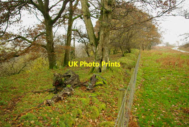 Photo 6"x4" Along the edge Garth\/SN9549 c2008