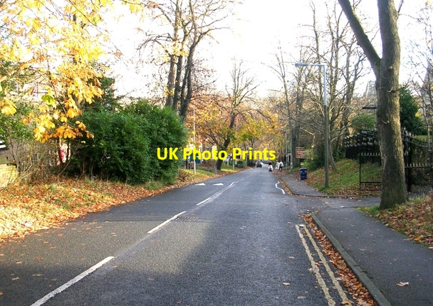 Photo 6"x4" Oak Avenue - Manningham Lane Bradford\/SE1632 c2008
