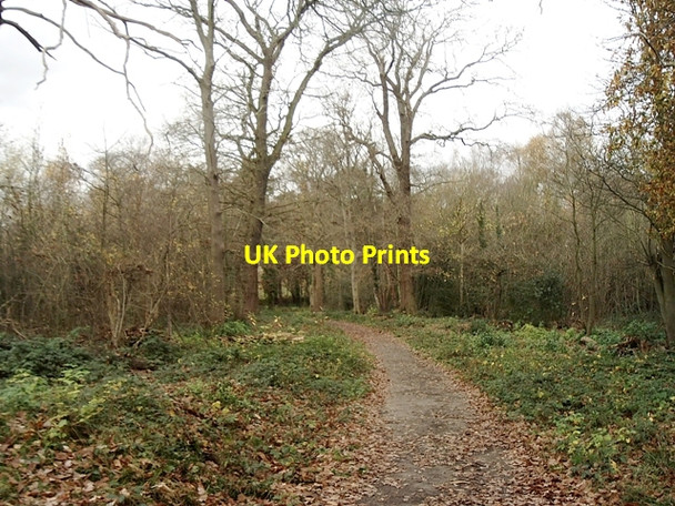 Photo 6"x4" Scadbury Park Nature Reserve, Chislehurst Foots Cray c2008