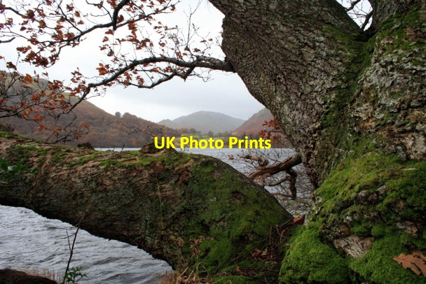 Photo 6"x4" Ullswater and a Mossy Oak Martindale c2008