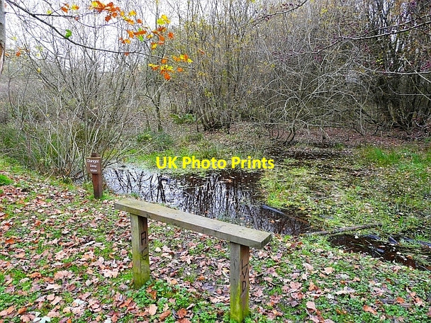 Photo 6"x4" Bench and pond, Kingmoor (South) Nature Reserve Etterby c2008
