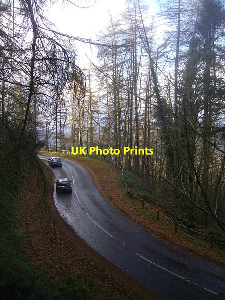Photo 6"x4" Jubilee Drive Brand Green\/SO7641 c2008
