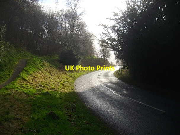 Photo 6"x4" Jubilee Drive Brand Green\/SO7641 c2008 P1