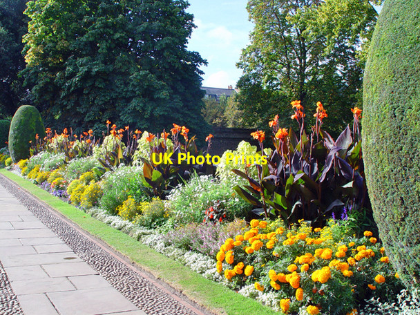Photo 6"x4" October flowers, Jesus College, Cambridge Cambridge\/TL4658 c2002