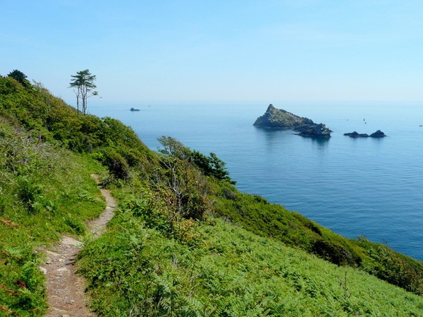 Photo 6"x4" Coast path at Froward Point Kingston\/SX9051 c2009