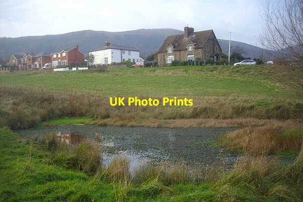 Photo 6"x4" Pond on Malvern Common Great Malvern c2008