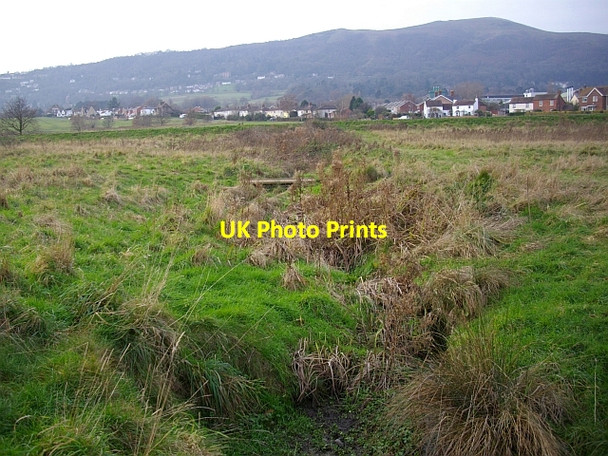 Photo 6"x4" Stream across Malvern Common Great Malvern c2008