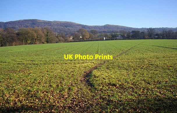 Photo 6"x4" Footpath to Colwall Green Colwall c2008