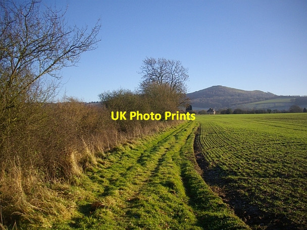 Photo 6"x4" Path to Colwall Green Barton Court\/SO7440 c2008