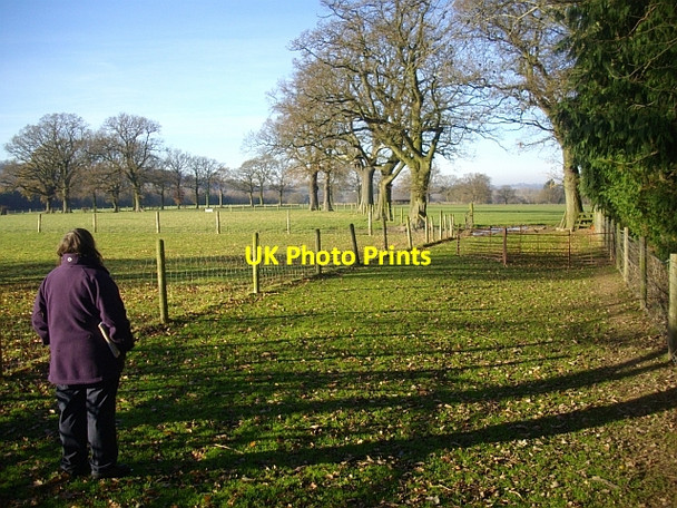 Photo 6"x4" Grassland, Colwall Barton Court\/SO7440 c2008