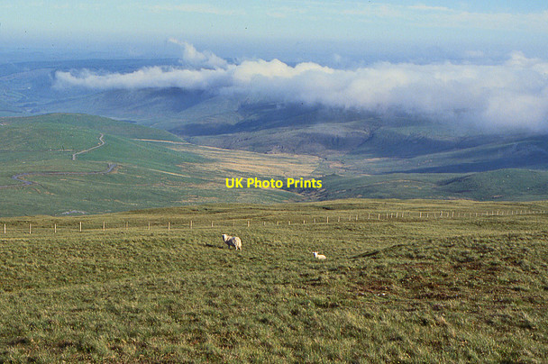 Photo 6"x4" Hillside southeast of Pen Lluest-y-carn Pen Lluest-y-carn c1993