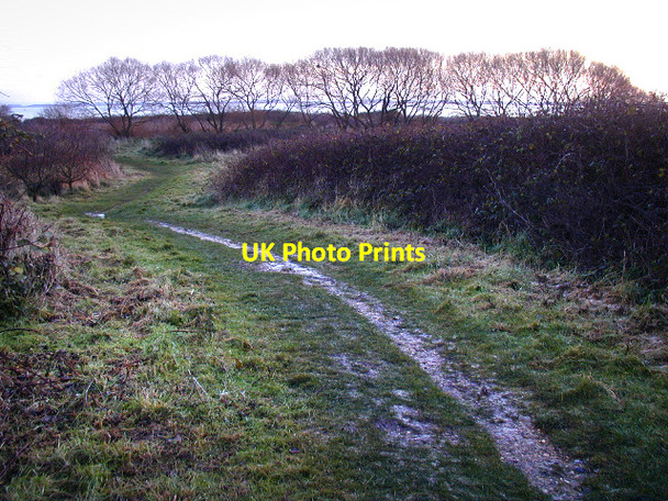 Photo 6"x4" Milton Common Portsmouth\/SU6501 c2008