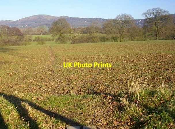 Photo 6"x4" Path to Brockbury Hall Barton Court\/SO7440 c2008