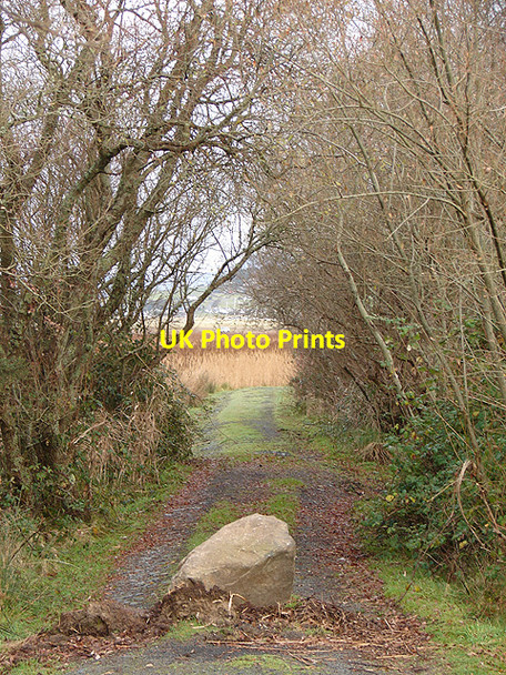 Photo 6"x4" Blocked track at Mochras Llanbedr\/SH5826 c2008
