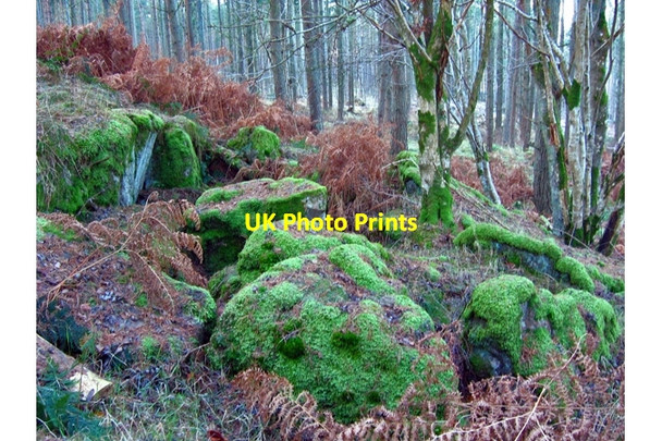Photo 6"x4" Moss covered rocks, Newmill Hill Forest Coalford c2008