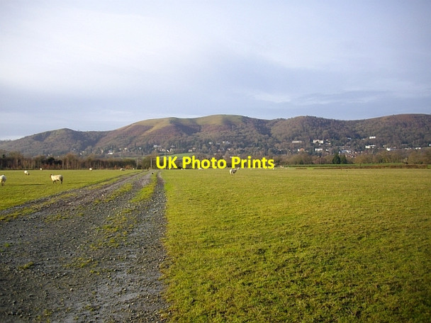 Photo 6"x4" Pasture \/ car park, Three Counties Showground Hanley Swan c2008
