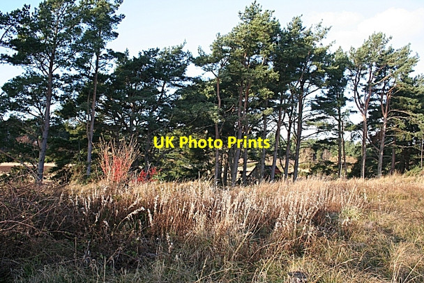 Photo 6"x4" Beside the Innes Canal Windyridge\/NJ2367 c2008