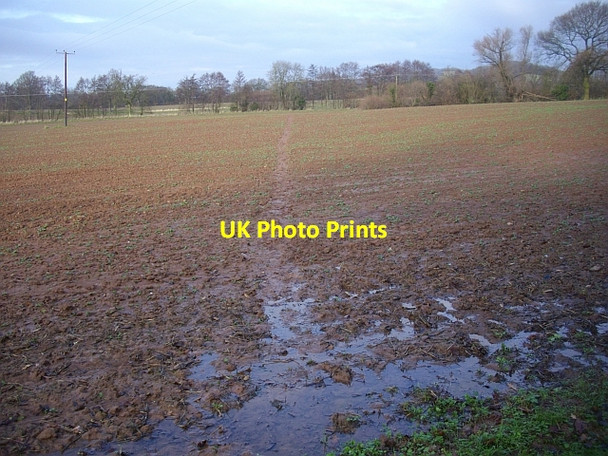 Photo 6"x4" Muddy footpath to Weobley Cross Ham Green\/SO7444 c2008