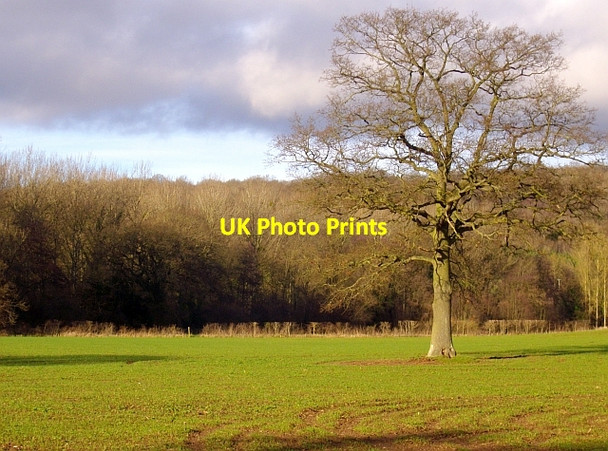 Photo 6"x4" Ploughed out path to Clenchers Mill Bromesberrow c2008