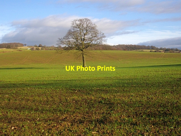 Photo 6"x4" The flood plain of the Glynch Brook Bromesberrow c2008