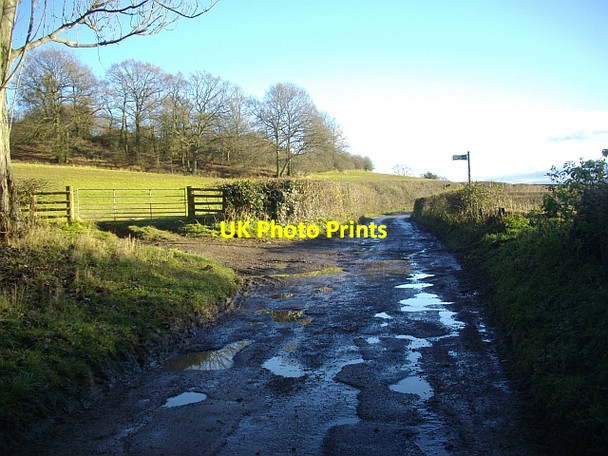 Photo 6"x4" Road to Bromesberrow, near Clenchers Mill Bromesberrow c2008