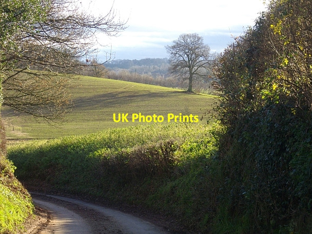 Photo 6"x4" The road to Bromesberrow Bromesberrow c2008