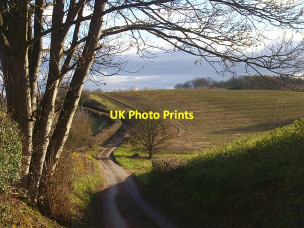 Photo 6"x4" The road to Bromesberrow Bromesberrow c2008