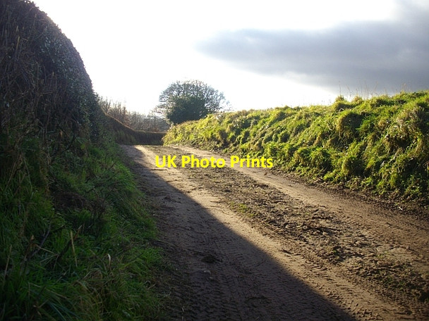 Photo 6"x4" The road to the Pepper Mill Bromesberrow c2008