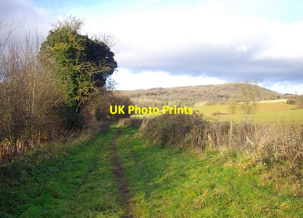 Photo 6"x4" The track to Clencher's Mill Bromesberrow c2008