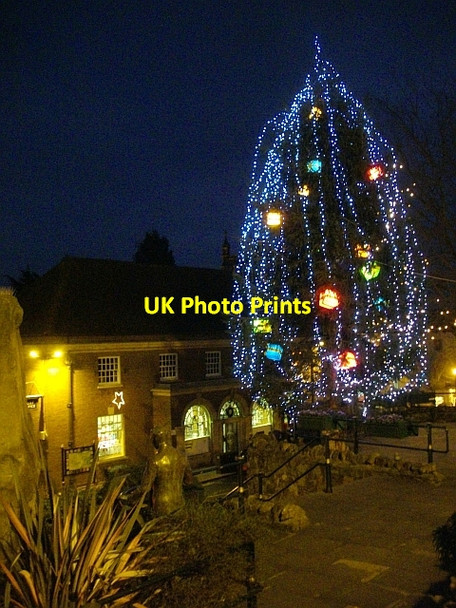 Photo 6"x4" Great Malvern Christmas Tree on Belle Vue Island Great Malvern c2008